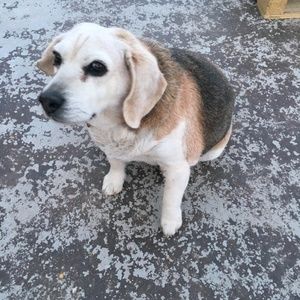 Meet your Posher, Nelly